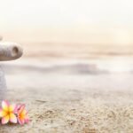 stones, rock, balance, flower, beautiful flowers, pebble, balanced rocks, balanced stones, sand, riverbank, beach, flower wallpaper, flower background, meditation, nature, zen, mindfulness, spirituality, harmony, free space, text, balance, zen, zen, zen, mindfulness, mindfulness, mindfulness, mindfulness, mindfulness