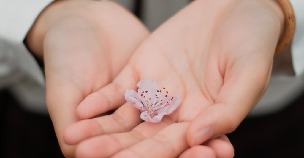 O Que É Compaixão? Close-up of hands gently holding a delicate pink flower symbolizing care and nature.
