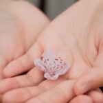 Close-up of hands gently holding a delicate pink flower symbolizing care and nature.
