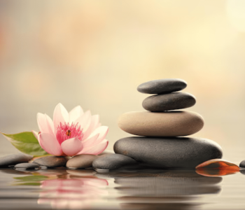 mindfulness e compaixao na prática clínica formação